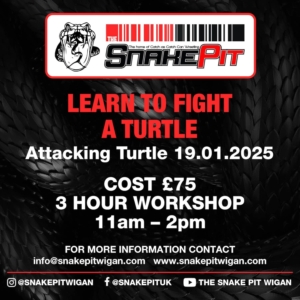 Attacking Turtle Workshop 19.01.2025