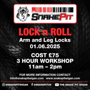 Arm and Leg Locks Workshop 01.06.2025